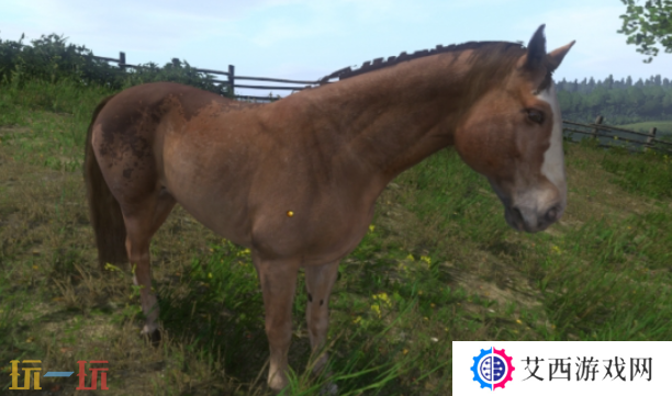 天国拯救2马怎么选 马匹选择建议攻略