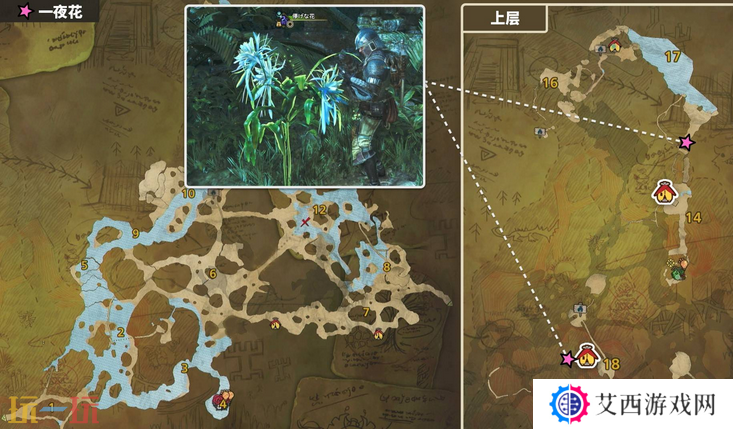 怪物猎人荒野一夜花的月华粉位置及获取方法 一夜花的月华粉在哪