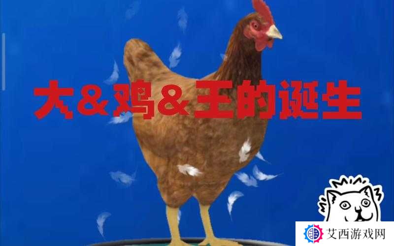 小森生活鸡王抓捕以及饲养方法介绍